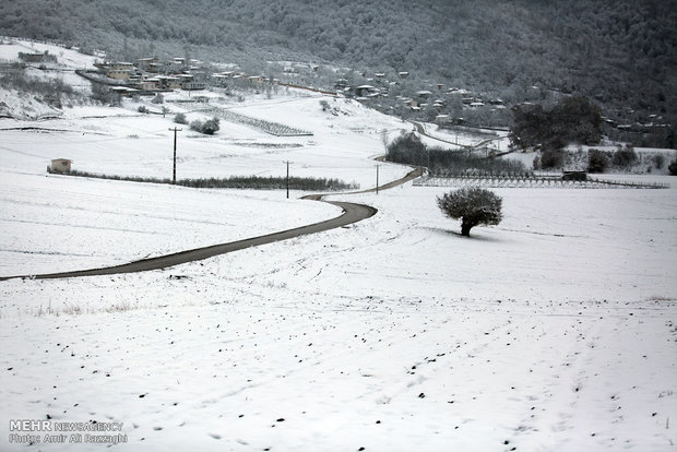 جاده های مازندران با برف و کولاک مواجه است
