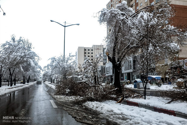 Spring snow in Tabriz