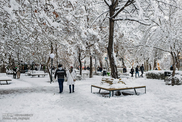 Spring snow in Tabriz