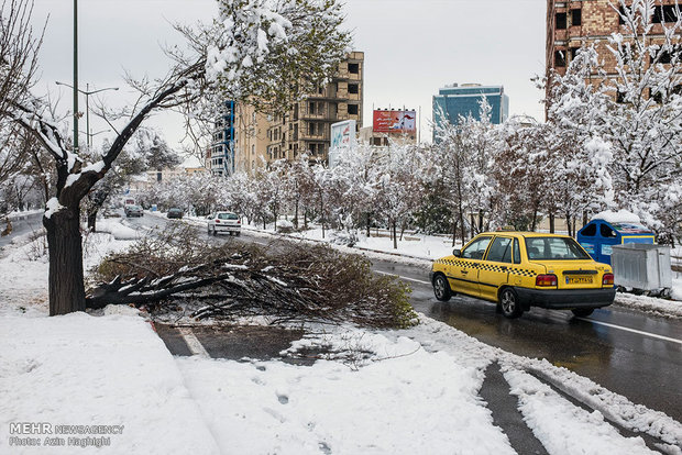 Spring snow in Tabriz