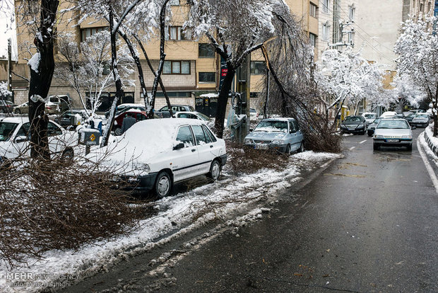 Spring snow in Tabriz