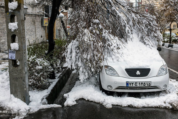 Spring snow in Tabriz