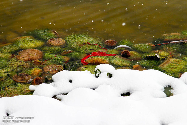Ardebil under heavy snow