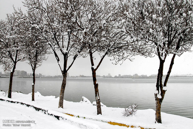 Ardebil under heavy snow