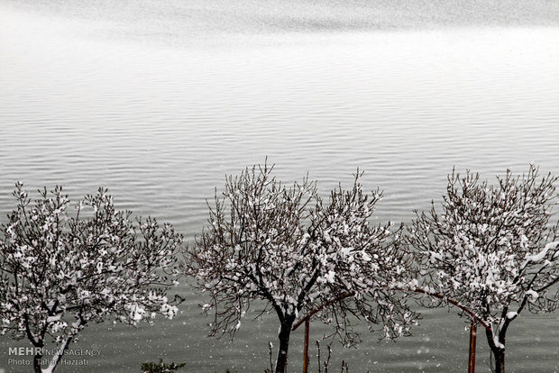 Ardebil under heavy snow