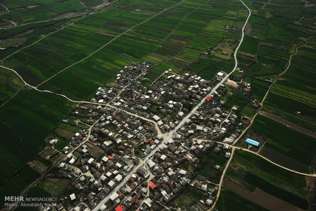 Aerial view of Golestan nature