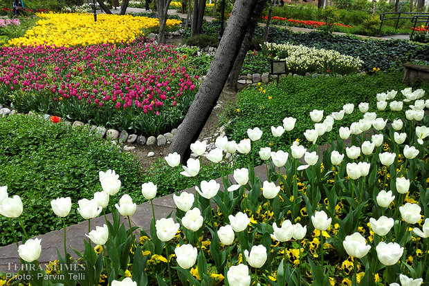 ‘Iranian Garden’ rich in color