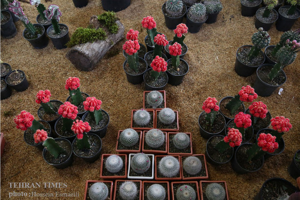 14th International Flower and Plants Exhibition in Tehran 
