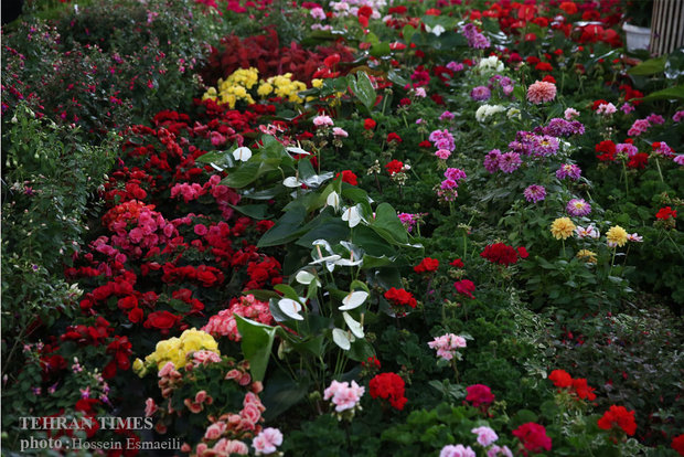 14th International Flower and Plants Exhibition in Tehran 
