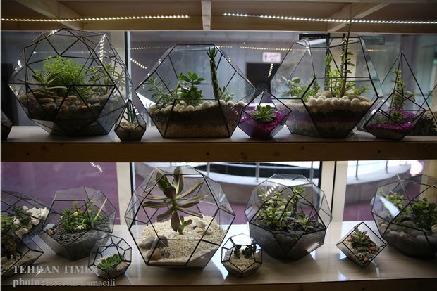 14th International Flower and Plants Exhibition in Tehran 