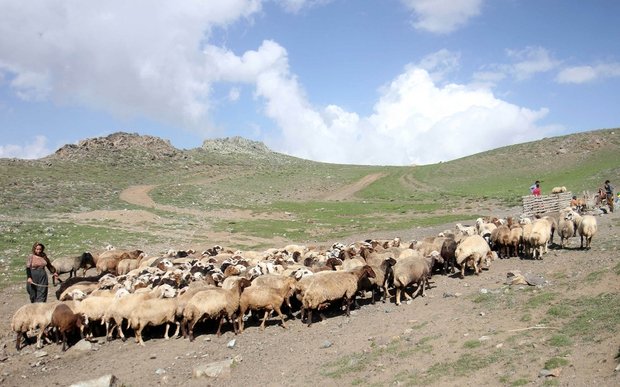 Iranian nomads in Dalampar country