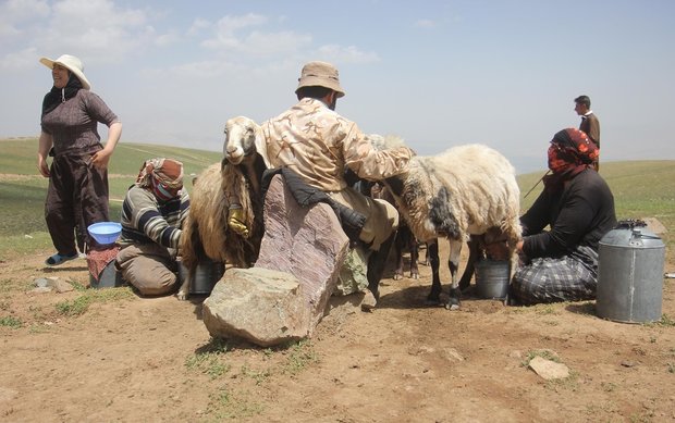 Iranian nomads in Dalampar country