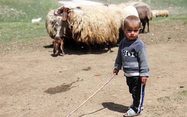 Iranian nomads in Dalampar country