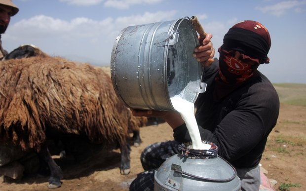 Iranian nomads in Dalampar country
