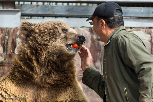 Qazvin nature village, an exceptional zoo