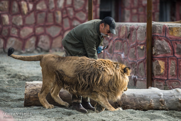 Qazvin nature village, an exceptional zoo