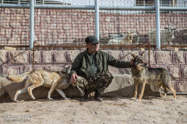 Qazvin nature village, an exceptional zoo