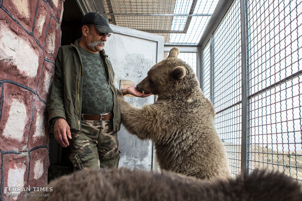 Qazvin nature village, an exceptional zoo