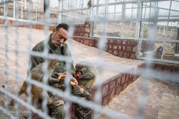 Qazvin nature village, an exceptional zoo