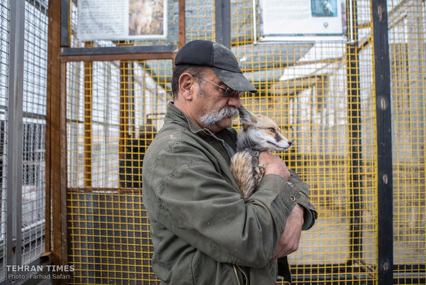 Qazvin nature village, an exceptional zoo