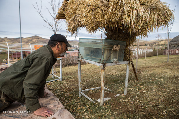 Qazvin nature village, an exceptional zoo