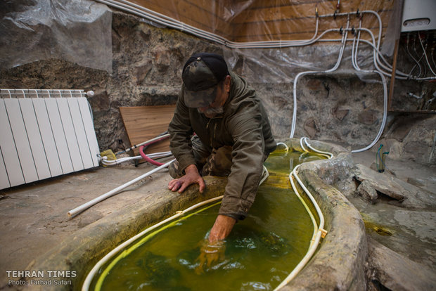 Qazvin nature village, an exceptional zoo