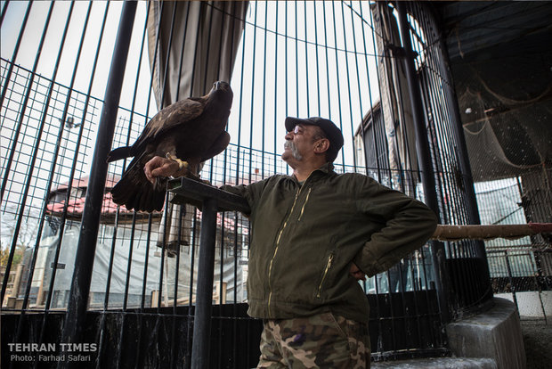 Qazvin nature village, an exceptional zoo