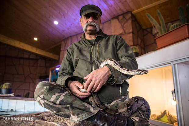 Qazvin nature village, an exceptional zoo