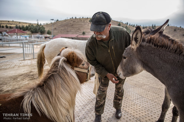 Qazvin nature village, an exceptional zoo
