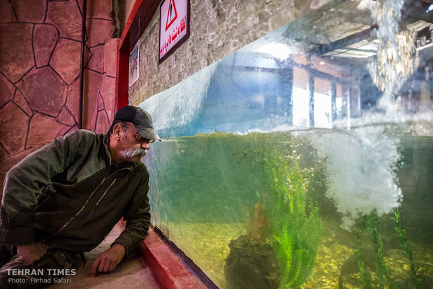 Qazvin nature village, an exceptional zoo