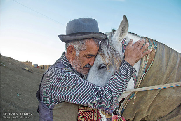  Avaz is embracing Ashkan, his 19-year-old mare. He cares too much about his horses and he says he would never let them feel hungry because he considers them as his family members.  