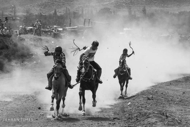The art of Turkmen horse breeding