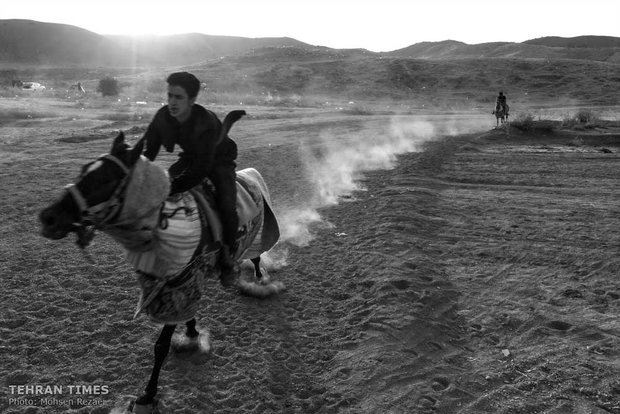 The art of Turkmen horse breeding