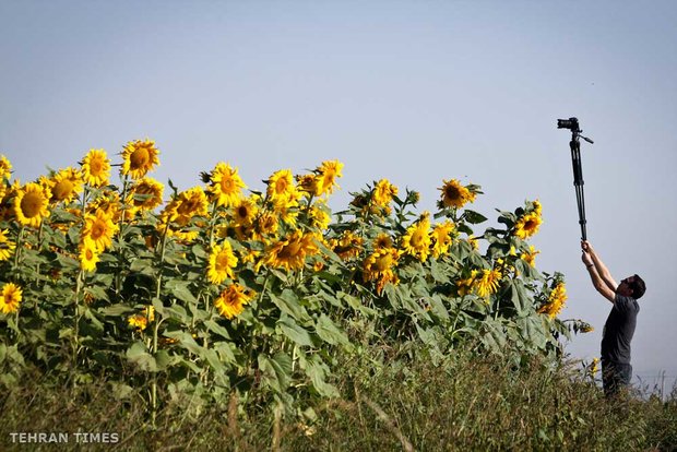 Land of Affection - Qazvin