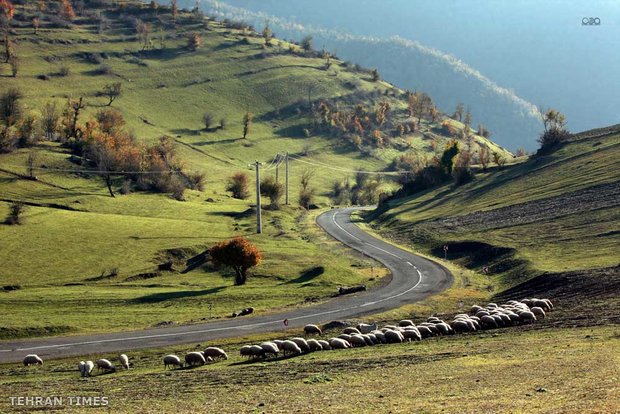 Land of affection - Gilan