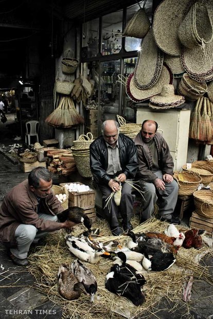 Land of affection - Gilan