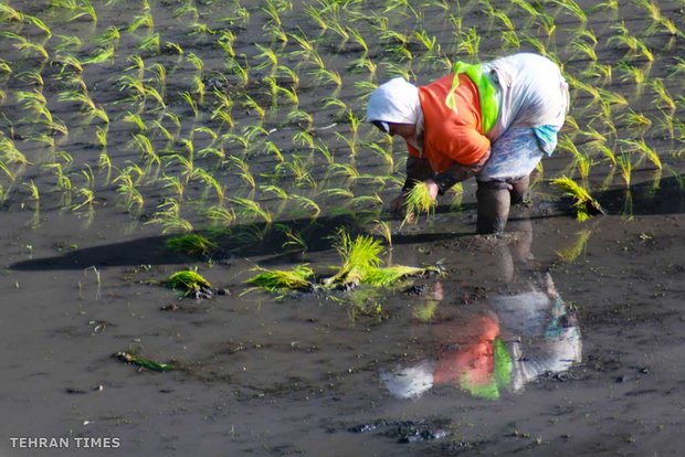 Land of affection - Gilan