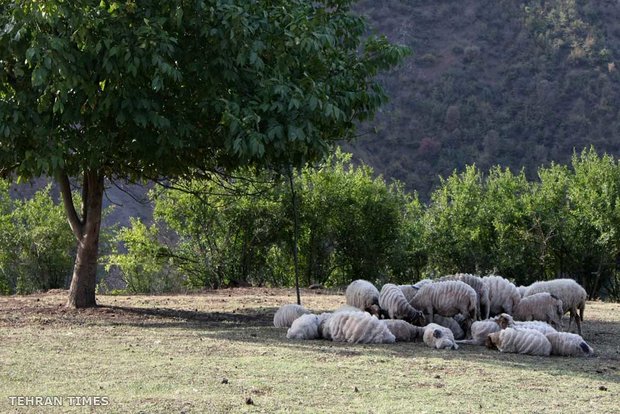 Land of affection - Gilan