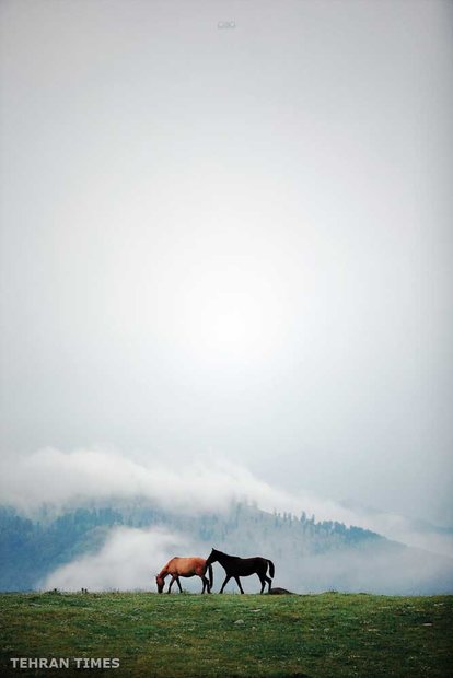 Land of affection - Gilan