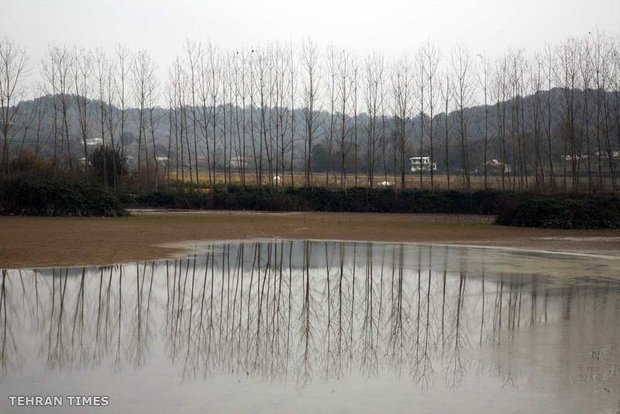 Land of affection - Gilan