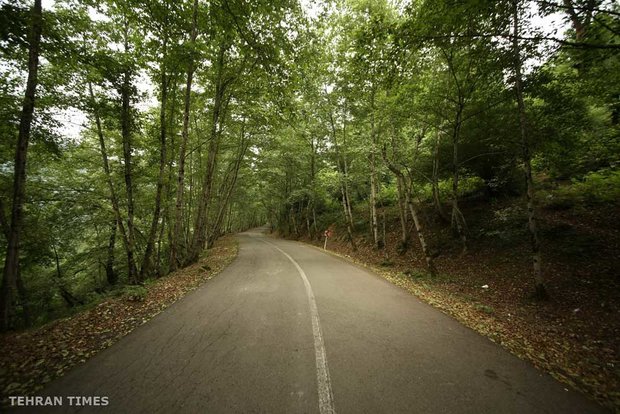 Land of affection - Gilan