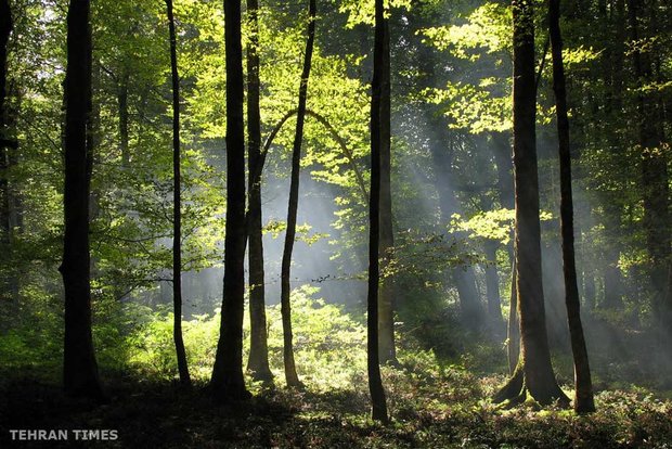 Land of affection - Gilan