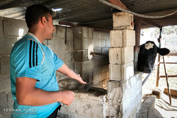 Charity helps breeder gain financial independence 