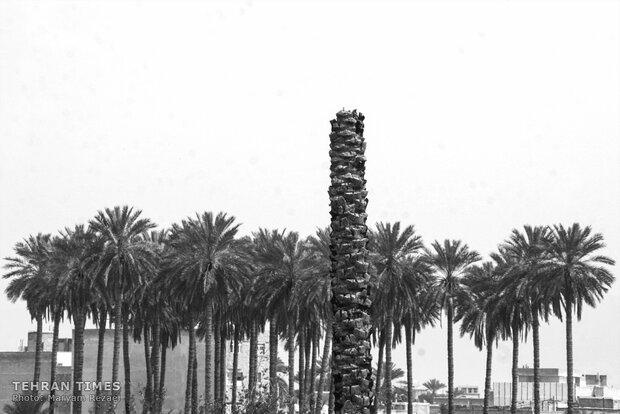 Water shortage in southern Iran: palm trees cut off at the trunk