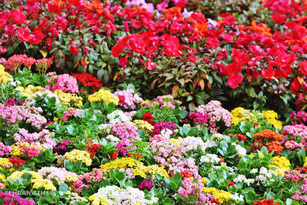 Intl. flower, plant exhibit underway in Tehran