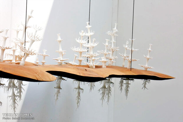 Paris Fine Craft Fair