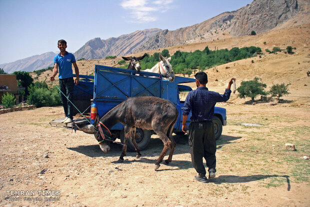 Bakhtiari region