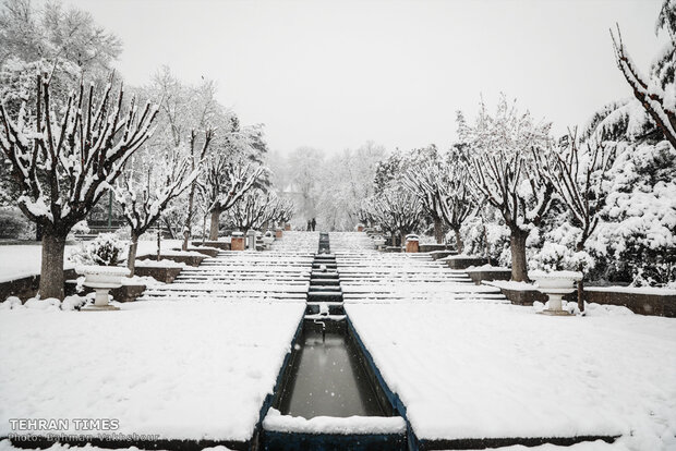 Snow blankets the Iranian capital