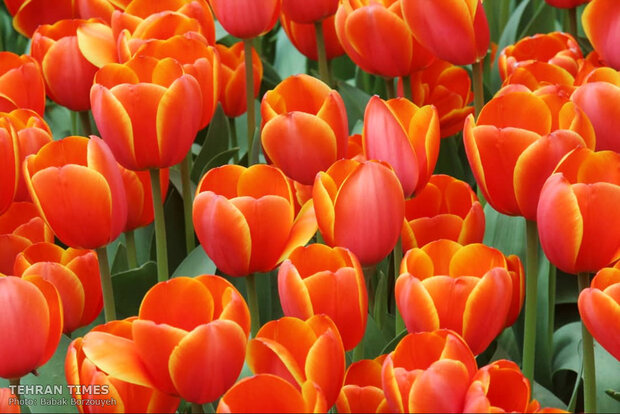 In loving memory of mother