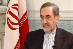 ولایتی